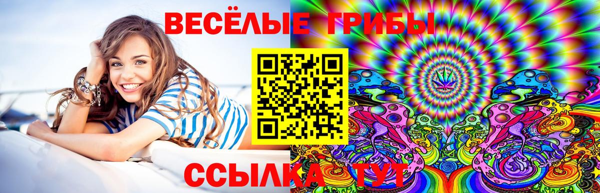 Сарапул  Галлюциногенные грибы GOLDEN TEACHER  Вход с VPN 