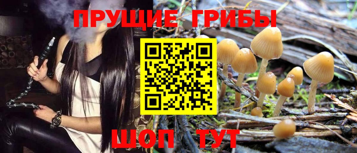 Псилоцибиновые грибы мицелий Сарапул